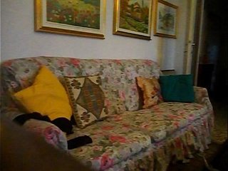 DSCN3501.AVI me,crossdresser,on sofa at my mother's in law diningroom