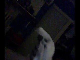 Phincaso orgasm from Wacking Off